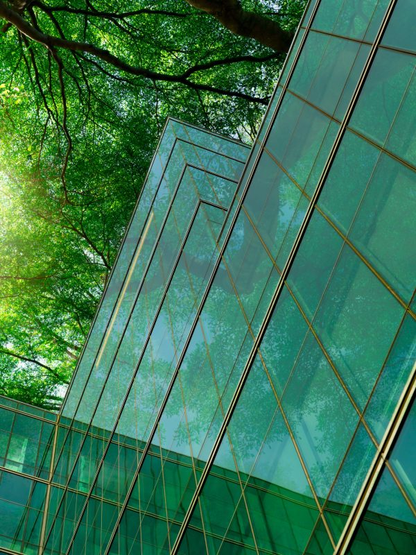 Eco-friendly building in the modern city. Green tree branches with leaves and sustainable glass building for reducing heat and carbon dioxide. Office building with green environment. Go green concept.