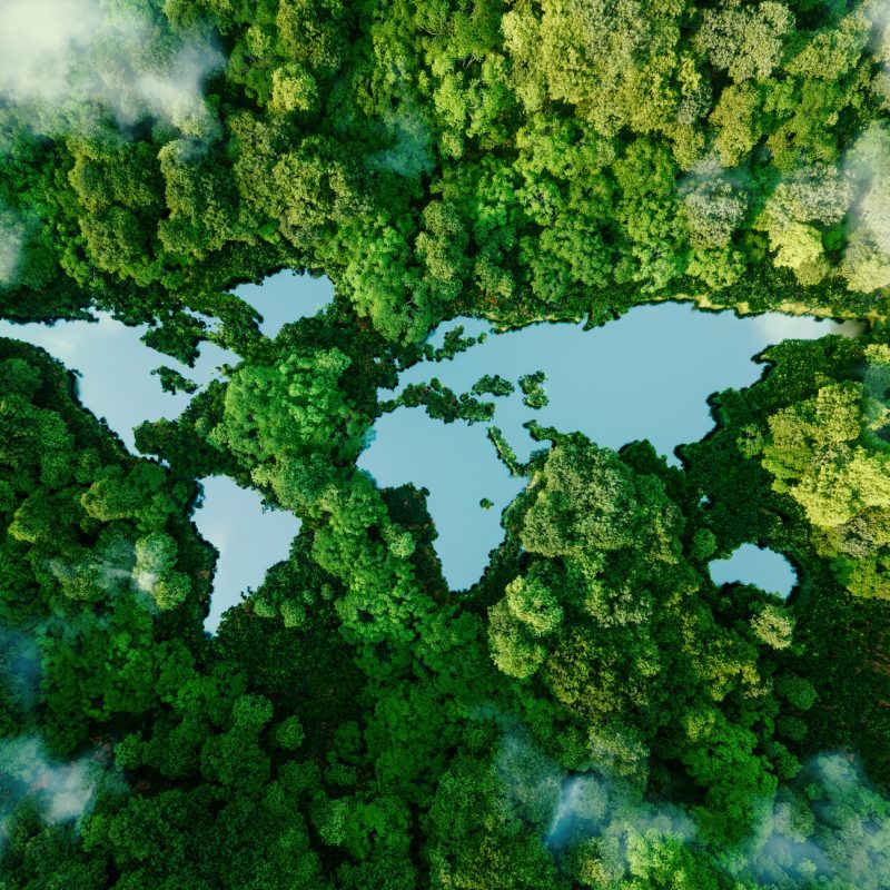 A lake in the shape of the world’s continents in the middle of untouched nature. A metaphor for ecological travel, conservation, climate change, global warming and the fragility of nature.3d rendering A lake in the shape of the world's continents in the middle of untouched nature. A metaphor for ecological travel, conservation, climate change, global warming and the fragility of nature.3d rendering